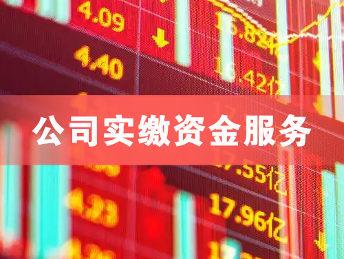 玉溪公司实缴资金服务